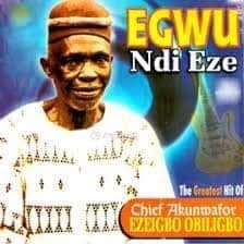 Chief Akunwafor Ezigbo Obiligbo