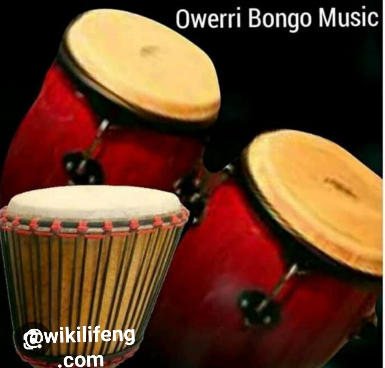 Owerri Bongo